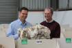 Former low prices trigger wool market extremes