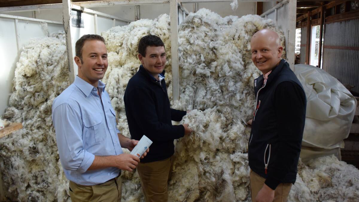 Saxon style: AWN wool specialist Russell Macgugan with Will Kinghorn and Sierra Park Merino Stud co-principal Will Crawford, Victoria Valley.