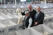 Prices ease as rain relief floods wool market