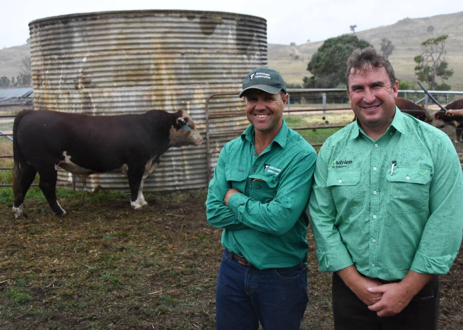 TOP BUY: Tim Hayes, Tarcombe Herefords, with Tim Woodham, Nutrien Ag Solutions, and the top-priced bull, Tarcombe Legend.
