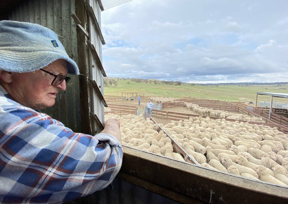 PRESTIGIOUS AWARDS: Australia's sheep producers are encouraged to enter three prestigious awards. Pictured is legendary Merino breeder John Williams, Thalabah Merino Stud, Crookwell. Photo by Kristen Frost. 