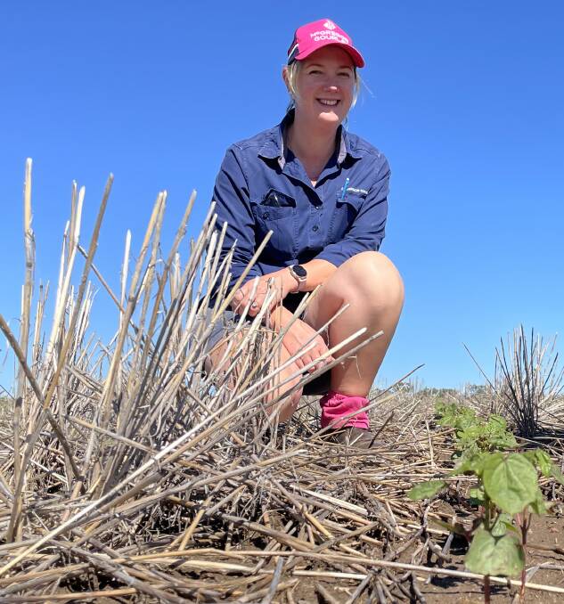 McGregor Gourlay agronomist Alice Jorgensen, Delungra, is happy with new genetically modified cotton varieties and their ability to manage summer weeds.
