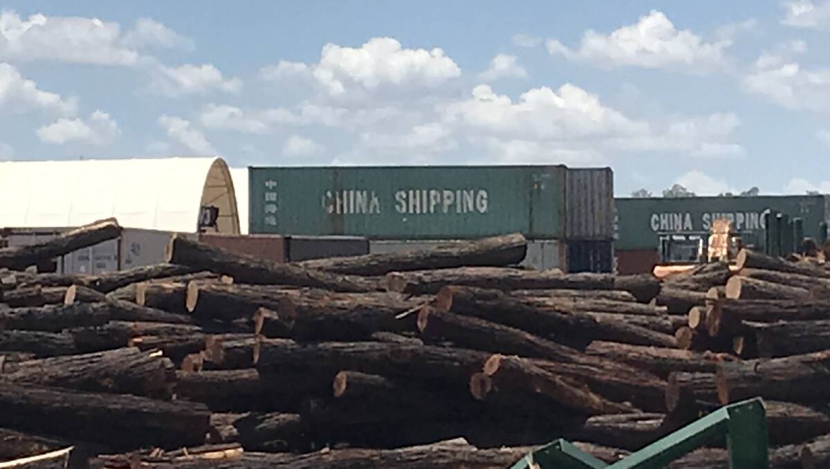 The Queensland timber industry has been rocked by the suspension of the export of raw logs from Queensland to China. Photo: Penelope Arthur 