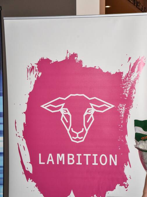 New awards open for our best sheep and wool producers, leaders and innovators
