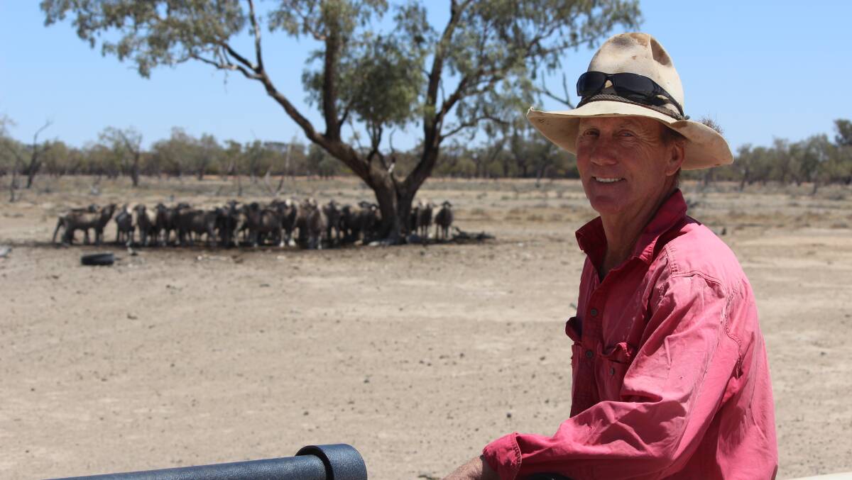 Western Queensland grazier Jim McKenzie is keen to focus on sheep and goats when seasons finally improve. 