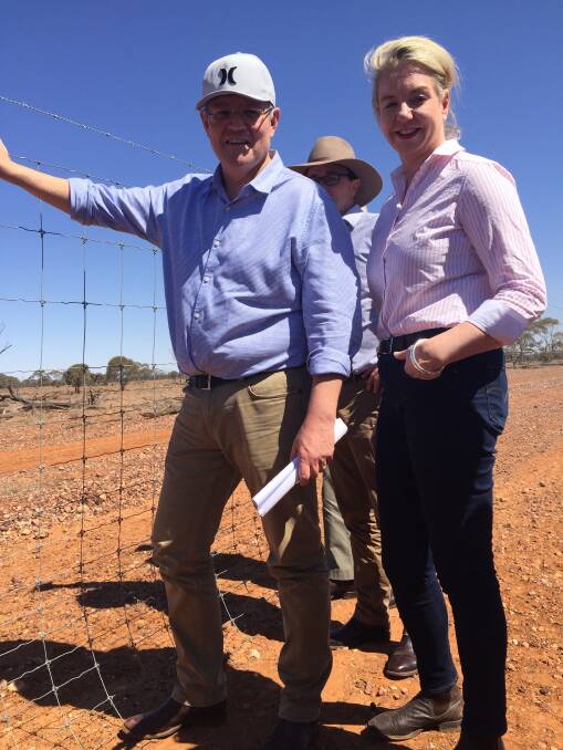 Prime Minister Scott Morrison inspecting wild dog fencing with the Minister for Rural Health and Regional Communications, Bridget McKenzie at Quilpie, Queensland, on Monday. 