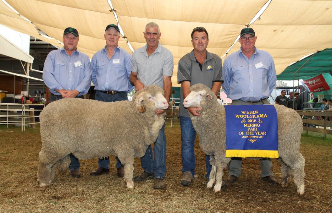 Bound for Bendigo: The Navanvale stud, Williams, will represent WA in the National Pair competition after winning the right to represent WA at this year’s Wagin Woolorama in March.