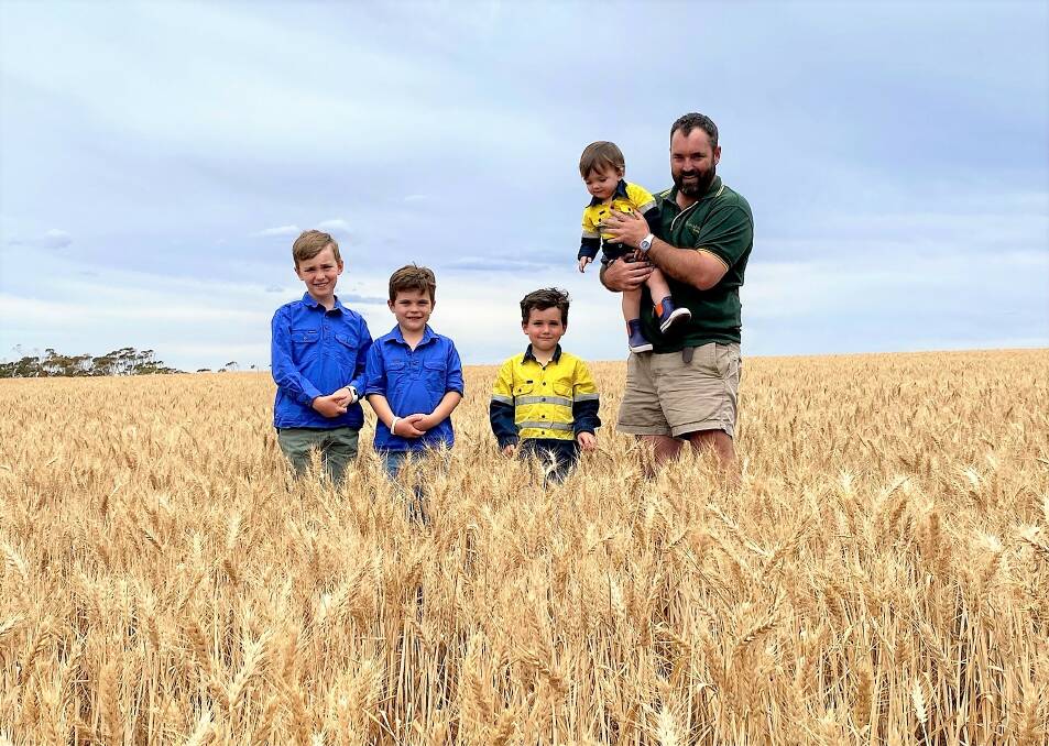 Gavin Howley and his sons Austin, Max, Jack and Archer, checking a paddock of Scepter wheat. 