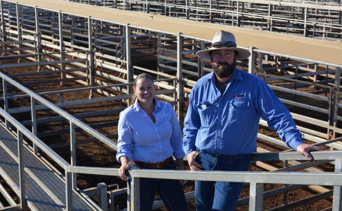 Not at a standstill: Animal Health Australia biosecurity and extension manager Rachael O'Brien with Roma Saleyards manager Paul Klar at the Roma Saleyards. Mr Klar said about 50 people participated in the recent stock standstill and provided plenty of positive feedback on the day. 