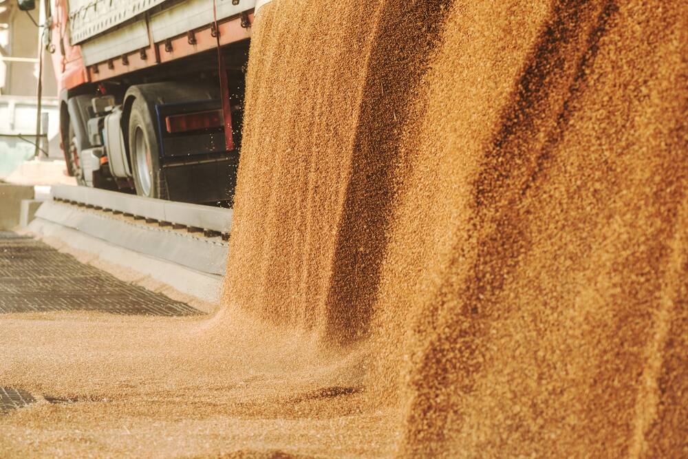 Receival sites are consistently reporting high grades of wheat coming into the bins and growers are reaping rewards from strong yields, prices and demand for high protein wheat.