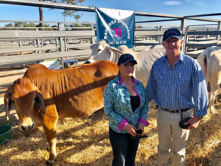 Carleen Searle and Ash Gardiner from Banarra Brahmans Krambach sold the top female for $2800.