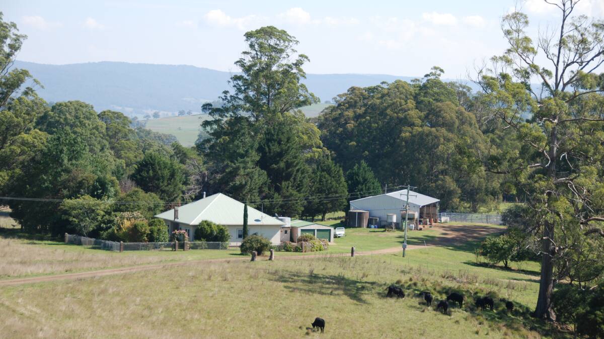 Instant prized grazing property for Nowendoc investor