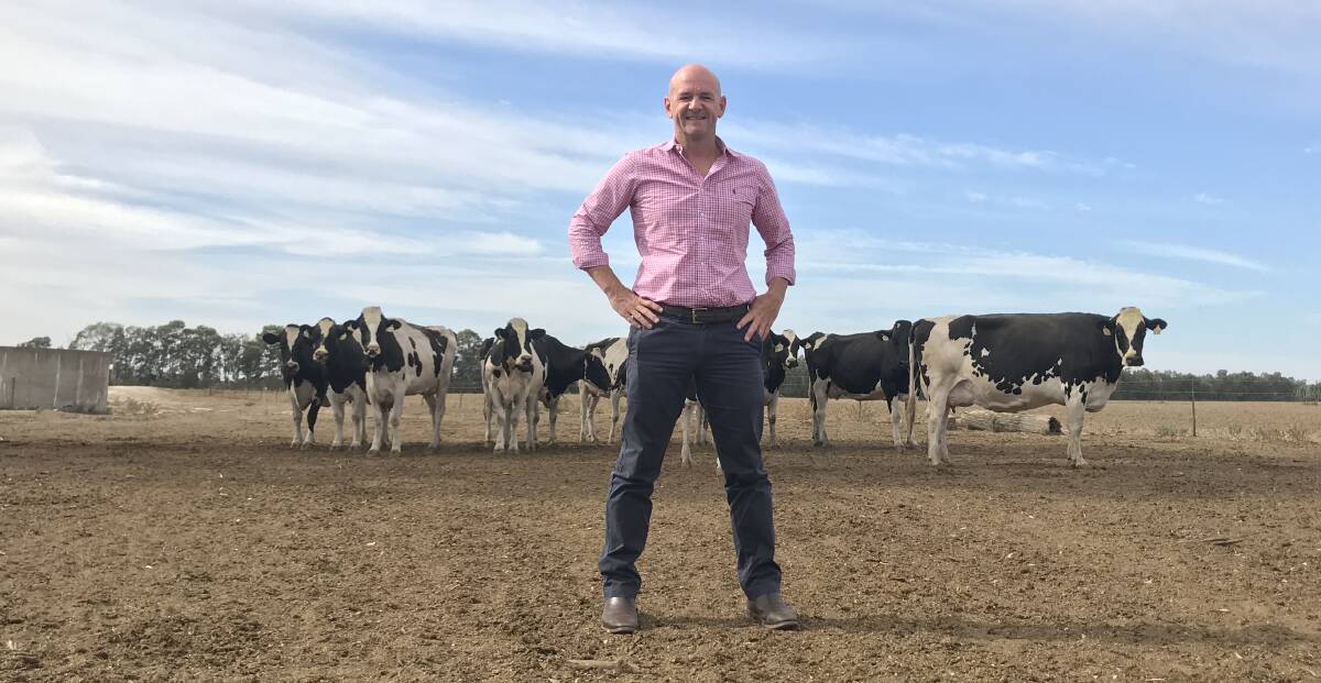 Primary Industries Minister Niall Blair will today announce the appointment of a fresh milk and dairy advocate to lead a dedicated dairy business advisory unit within DPI. Photo supplied.