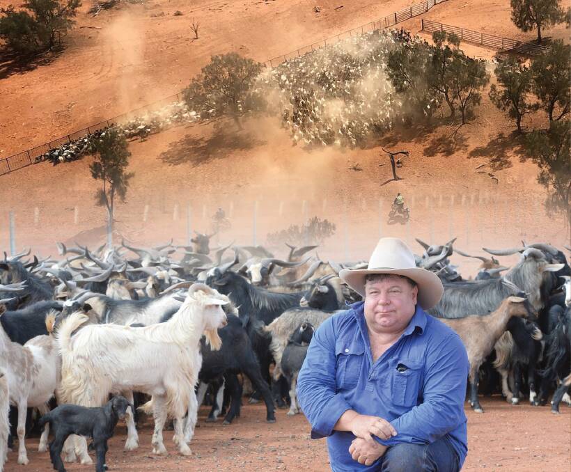 Bruce Mills at his property at Coolabah and an aerial of a goat muster north of Broken Hill. Digitally enhanced image using photos by Rachael Webb and Stock and Station Aviation.