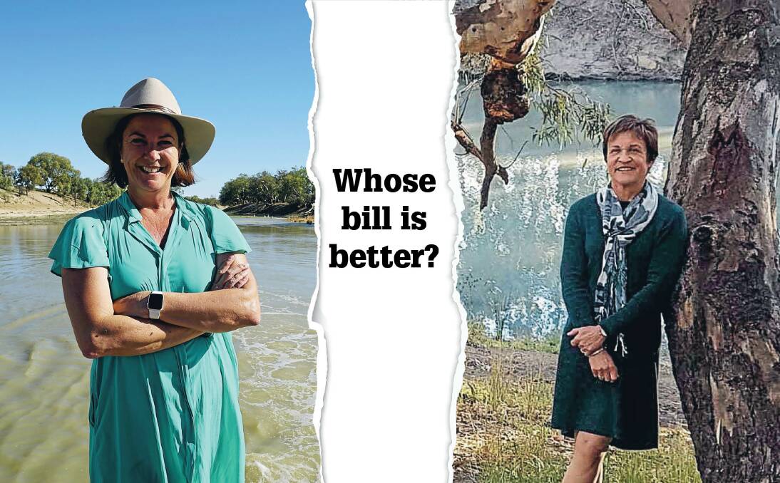 Water Minister Melinda Pavey and Murray MP Helen Dalton have both introduced water transparency bills to Parliament, but which is better?