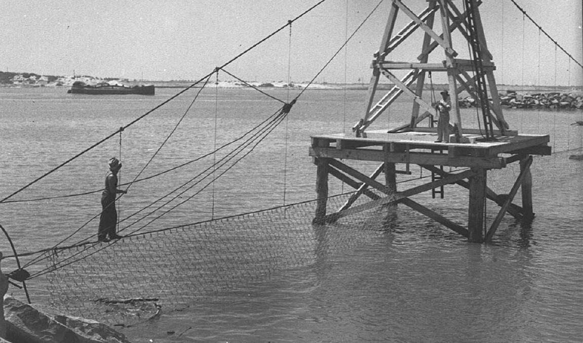 Shark nets installed between Newcastle and Wollongong - 1937