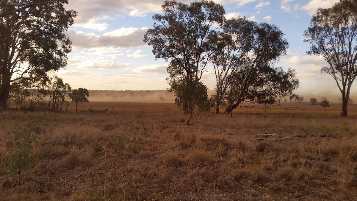 Severe wind erosion was commonly severe in paddocks with next to no groundcover.  Photo courtesy of Richard Plummer (Mudgee).
