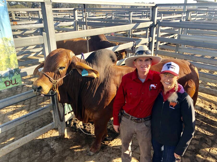 Glen and Jodi Duff from Riverview Brahmans Kempsey sold his bull Deluxe for $3000. Photos by Samantha Townsend.