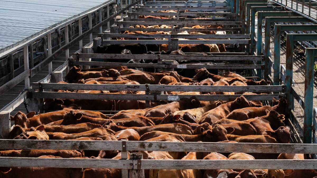 Marshall: Saleyards are 'business as usual'