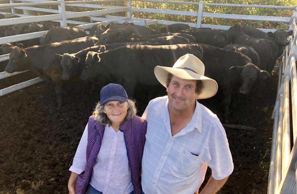 Michelle and Shane Booth from Georges Creek sold 34 weaners at the Kempsey Stock and Land weaner sale. Photo by Samantha Townsend.