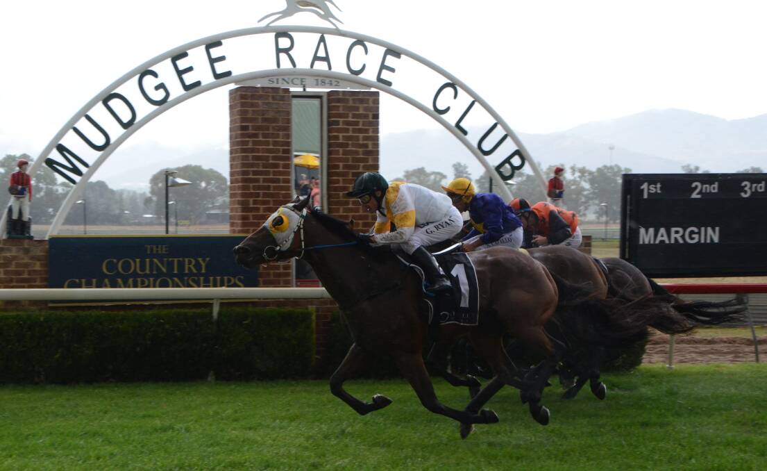 The Mudgee Race Club is among country clubs to have a new $50,000 Country Magic race restricted to country trained horses only at its Cup meet in December. Photo by Virginia Harvey.
