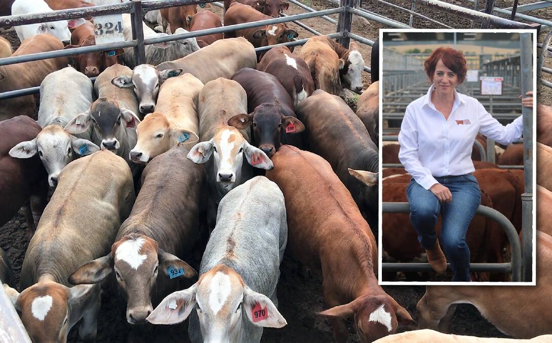 Cattle Council of Australia CEO, Margo Andrae, says producers have a responsibility to uphold the reputation as custodians of land and livestock. 