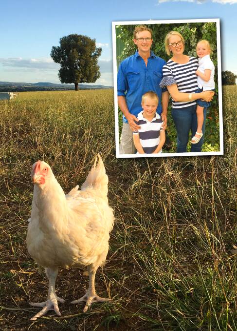 Rodger and Katherine Shannon with their two young children Charlie and Willamina who run Carbeen Pastured Produce. Photos by Carbeen Pastured Produce.