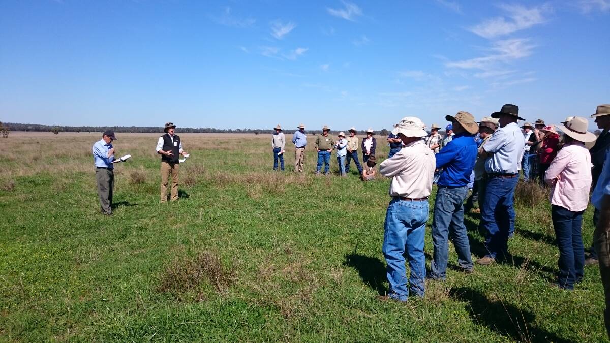 Bob Freebairn speaking at a pasture improvement field day about native grass and rotational grazing management on his property “Kingswood” Purlewaugh.