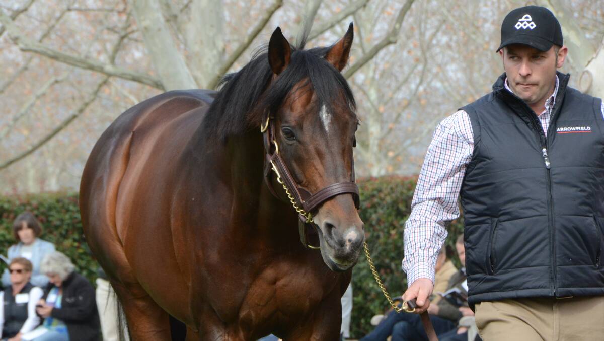 Japanese and Australian performer, Real Impact (and stallion handler Joe Hickey at Arrowfield Stud) has had a successful stud start in Japan. 