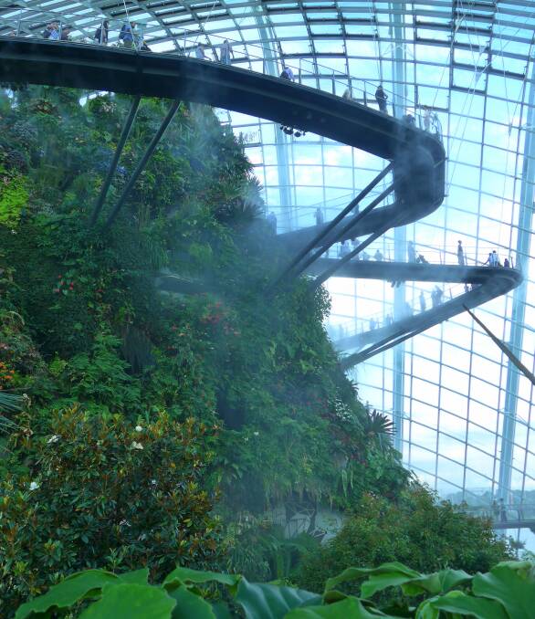 The Cloud Forest, one of two massive glasshouses in Singapore’s Gardens by the Bay (is one of the world’s largest glasshouses) that has no interior supporting columns.
