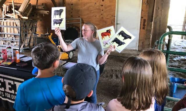 Students learning about beef breeds.