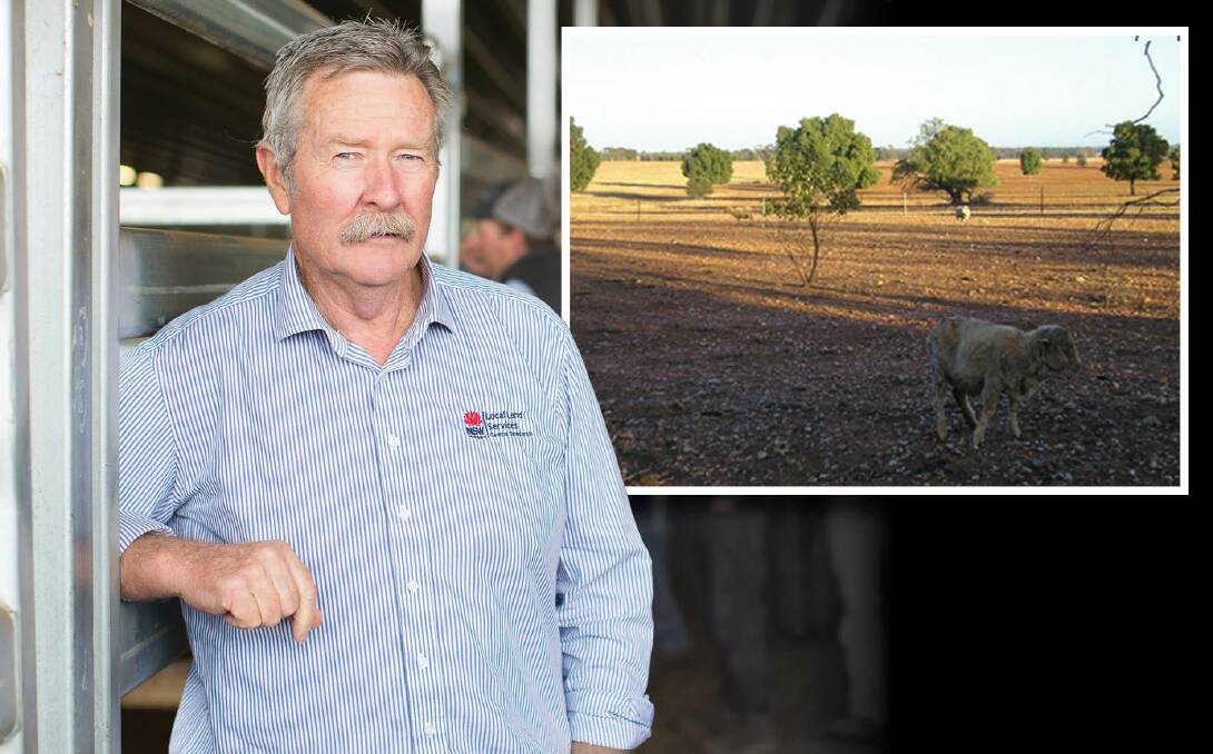 Bruce Watt, who is a regional veterinarian with the Central Tablelands Local Land Services, has some strategies farmers can use to avoid mismothering during dry times.