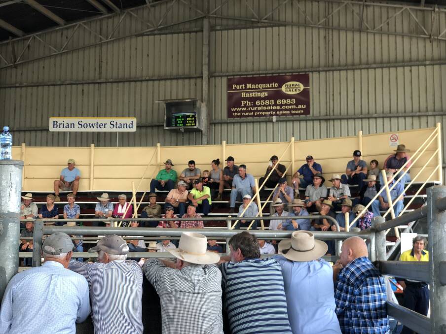 The future of Kempsey Regional Saleyards where around 30,000 head of cattle are sold annually is under review by Kempsey Shire Council. Photos by Samantha Townsend.
