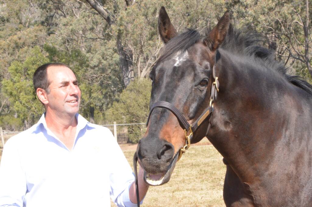 Nothin’ Leica Dane with Byerley Stud manager Kelvin Williams pictured at the Sandy Hollow property last year. Photos by Virginia Harvey.
