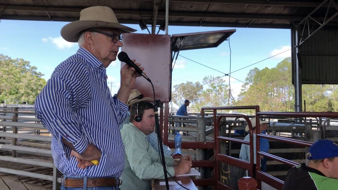 Ian Argue from Kempsey Stock and Land supports the option of the council maintaining and upgrading the saleyards.