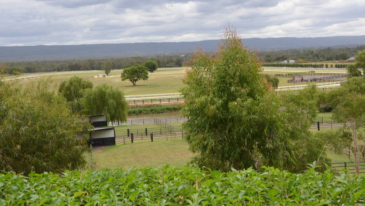 Standing on the hill looking down upon the training tracks at Godolphin’s Osborne Park, Agnes Banks. Photos by Virginia Harvey.
