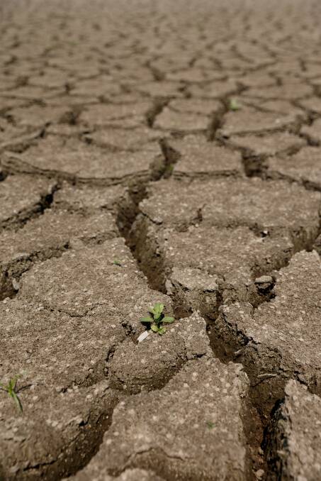 The CWA of NSW will convene a group of people together in Broken Hill in June to come up with a solution to drought policy.