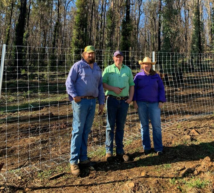 Fencing contractors Jason Pearson and Joey Edmonds with Cindy McRae at her neighbour's fence. Photo: Cindy McRae