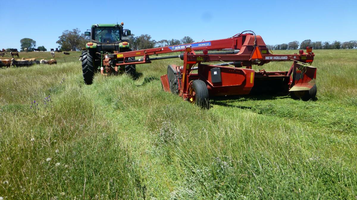 Cutting hay from good pastures in a good year (like 2016 for Bob Freebairn) is part of a sound drought management strategy.