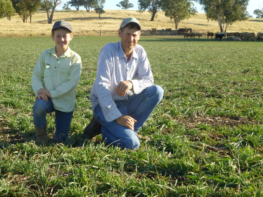 Malcolm and daughter Amy Rouse “Marchmont Park” Coolah in late April checking Eurabbie oats sown early February (2018). 