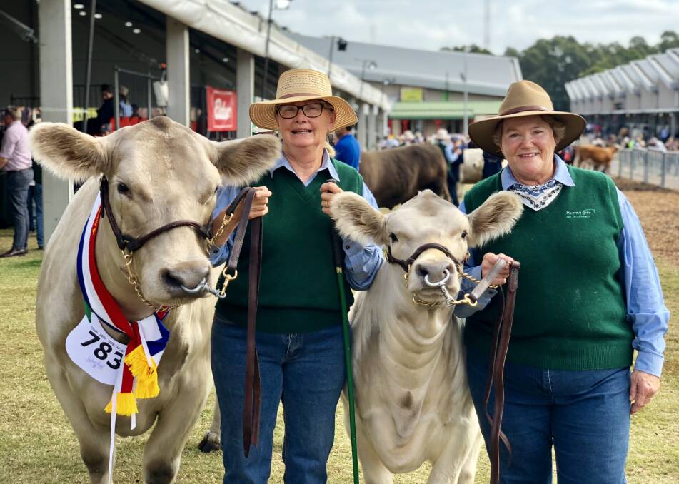Sandra Johnson and Margaret Hunter took out the best exhibit in the Murray Greys with Elizabethfields Gemma K21. Photo by Samantha Townsend.