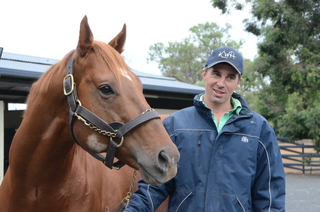 Serving 151 mares at his initial season last year, young chestnut horse Sooboog (seen with handler Louis Robey) looked at home at Kitchwin Hills. 

