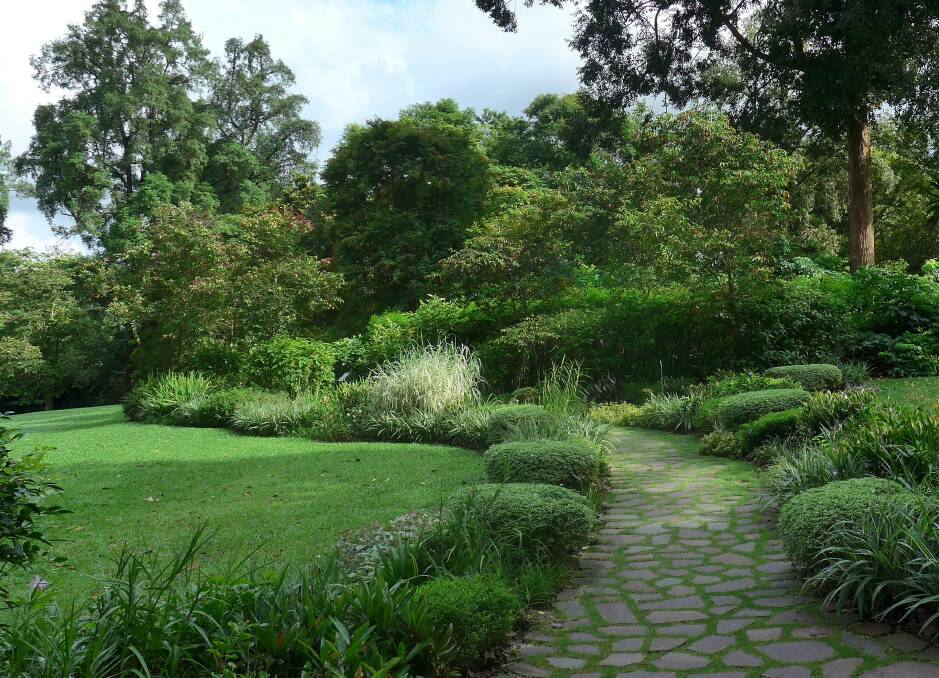 Contrasting greens create a satisfying picture in Singapore Botanic Garden’s Heritage Garden, launched in 2016 to showcase the garden’s social history.