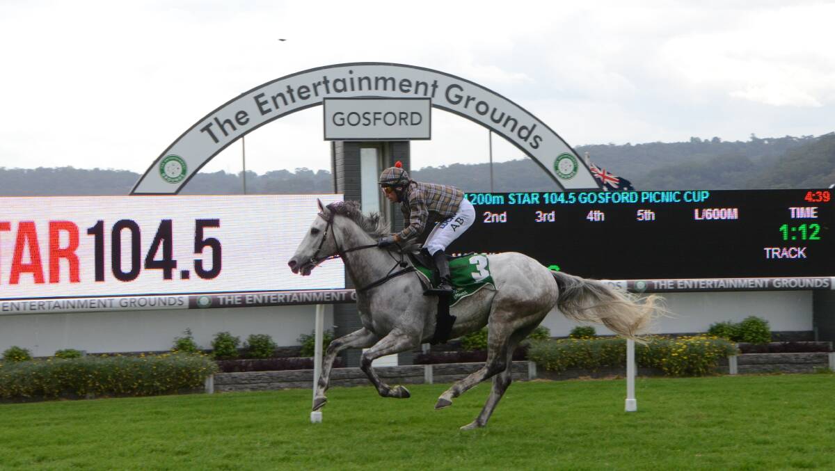 Attilius and in-form hoop Alan Barton win the Gosford Picnic Cup on Melbourne Cup day.  