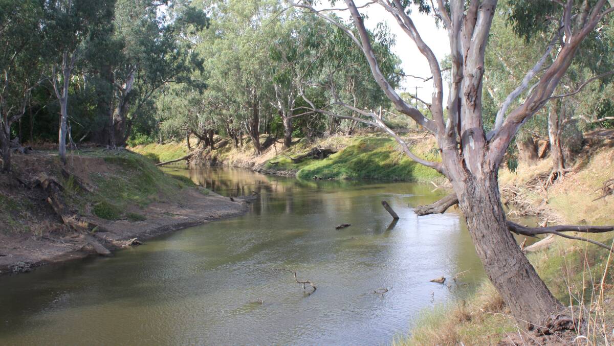 The Lachlan River behind the “Jemalong” homestead. The station pioneered lucerne irrigation on the Lachlan in the late 1800s.