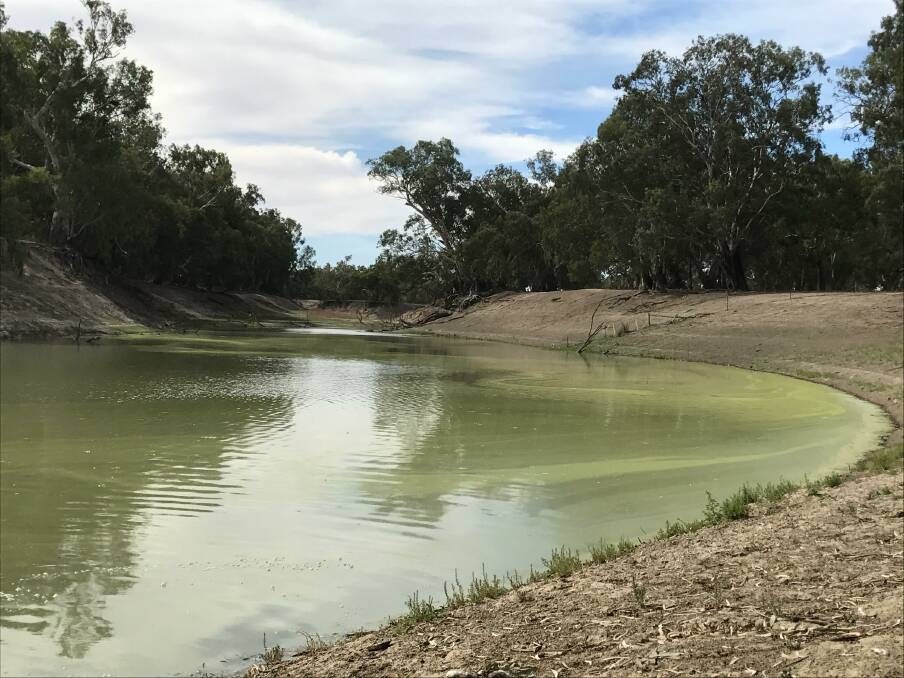 Mal Peters says the purchase of 29 gigalitres in the Murray-Darling Basin for $80 million was pretty poor accounting. 


