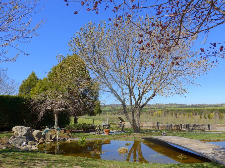 One of several pools in the garden at Adelong Park, Brewongle. The garden has extensive views over the paddocks and the thousands of trees planted by the Hennessy family.
