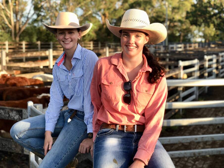 Jane Laurie and Rachael Unger, at Kempsey saleyards, are among the growing number of women who are working in saleyards across NSW. Photo: Samantha Townsend