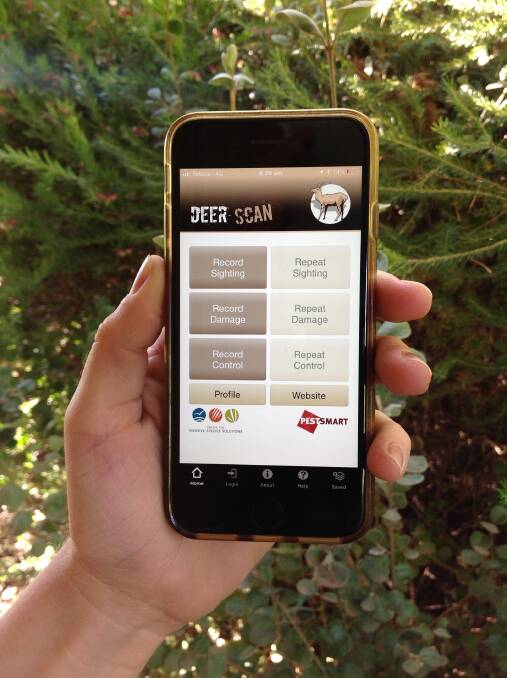 A screenshot of the DeerScan app