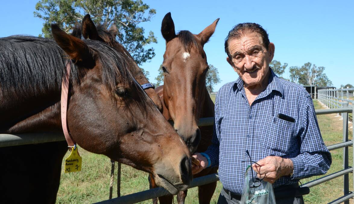 Ric Pisaturo with some of his much loved thoroughbred mares and their offspring at Mandalong Stud, in western Sydney last month. Photo by Virginia Harvey. 
